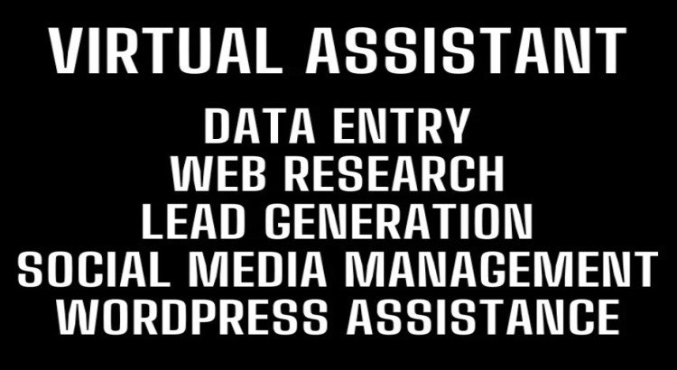 I will help you by providing virtual assistant like data entry job only for $2 hours.