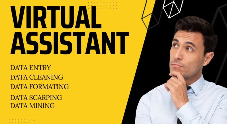 I will be your reliable virtual assistant for data entry at $2 per hour