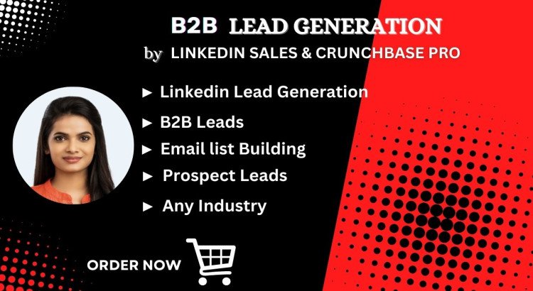 I will do b2b lead generation using linkedin sales navigator.