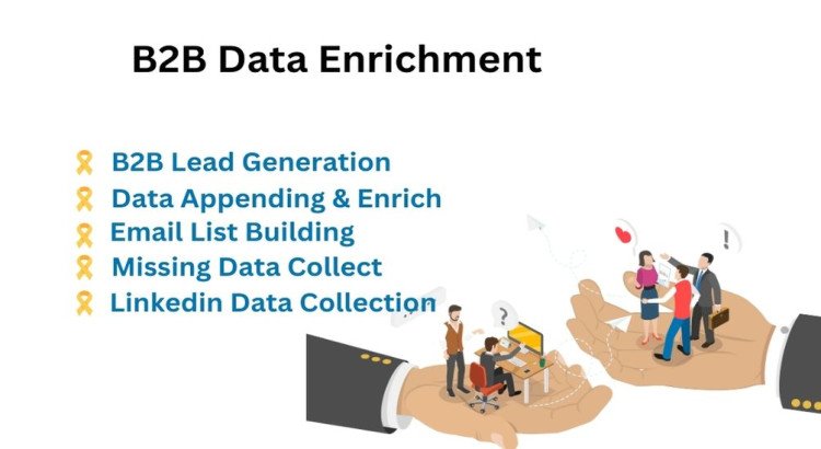 I will provide B2B lead generation, data enrichment, and collect missing data services.