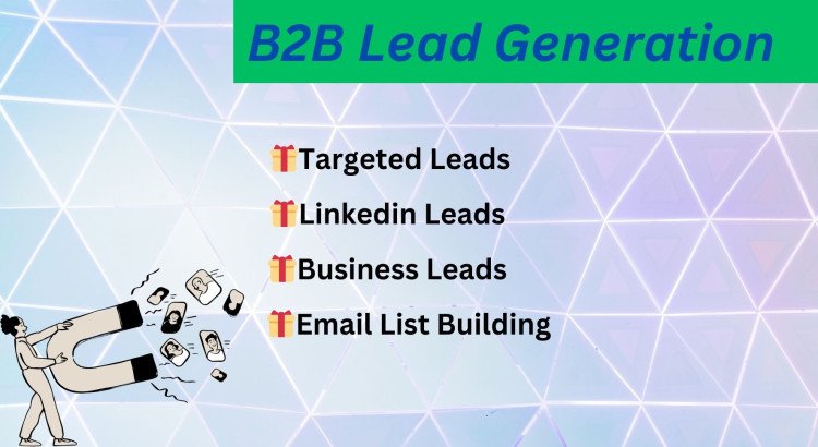 I will provide you targeted b2b lead generation, business leads, linkedin leads