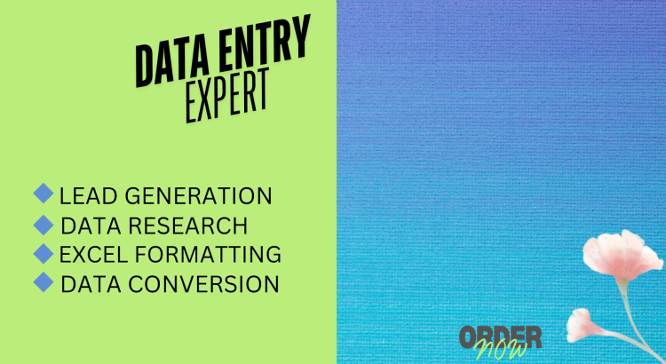 I will do lead generation, data entry and web research