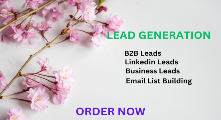 I will do b2b lead generation, linkedin lead generation, and targeted lead generation