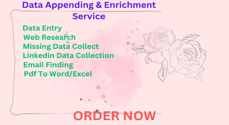 I will do data enrichment, data entry, and b2b lead generation