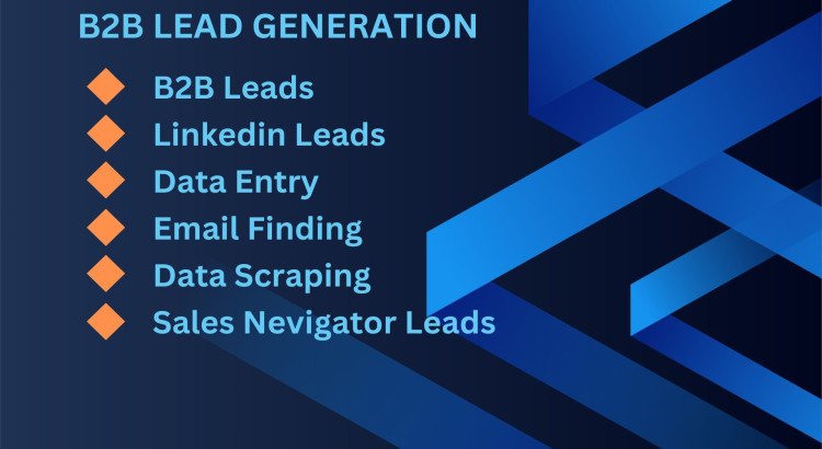 I will provide targeted B2B lead generation and LinkedIn lead generation services.