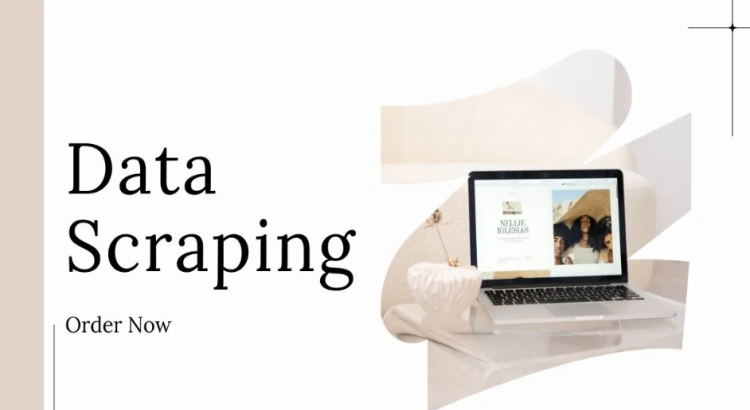 I will do data mining, data scraper, data extraction, python web scraping