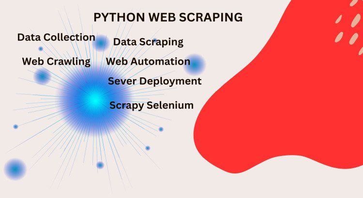 I will provide professional Python web scraping and data extraction services.