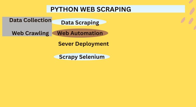 I will create a powerful Python scraper for web scraping and data mining