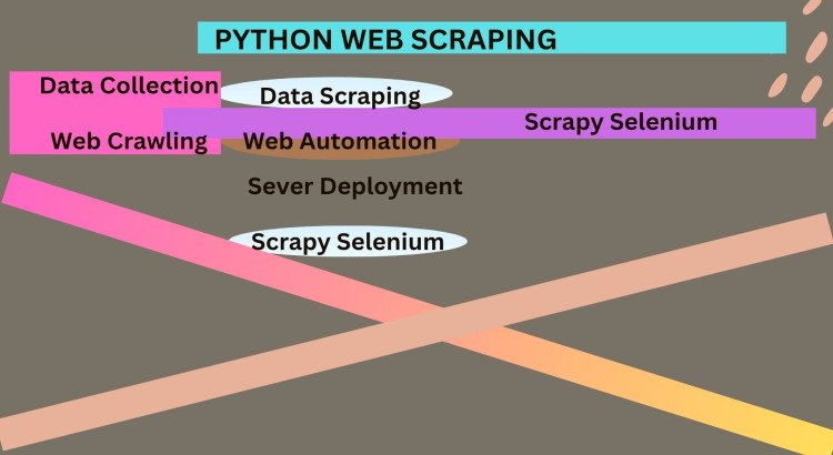 I will automate your data collection using advanced Python web scraping.
