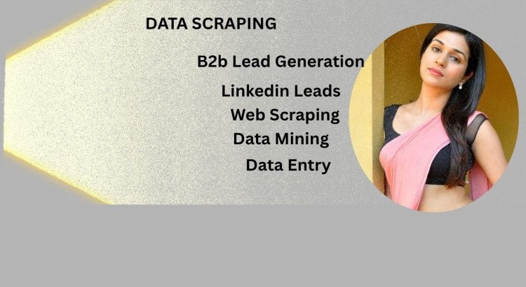 I will perform Python web scraping, data extraction, and data mining professionally.