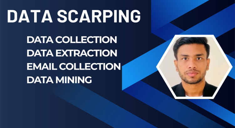 I will provide professional web scraping services using python