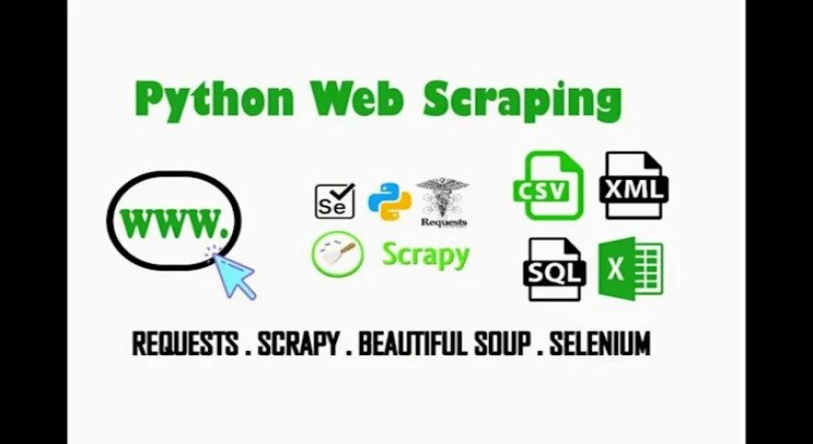 Python web scraping & data mining support — starting at just $2/hr.