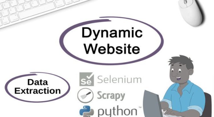 I’ll extract structured data from any website using powerful Python scraping tools.