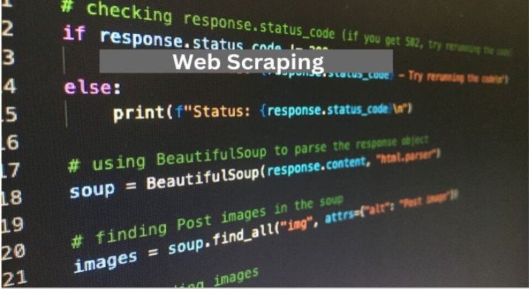 I will perform LinkedIn data scraping and website data extraction using Python.