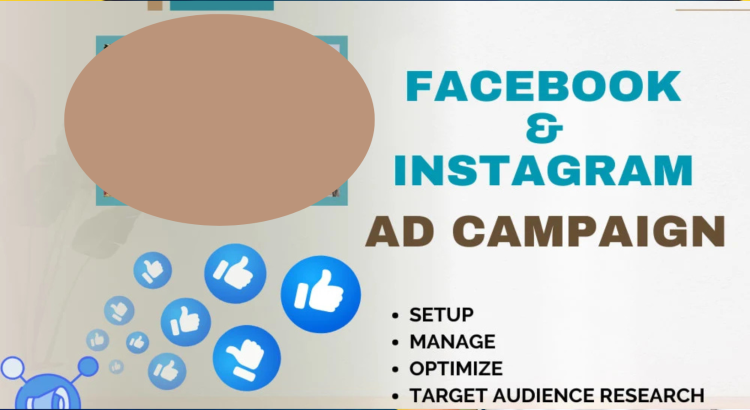 I will set up and manage Shopify ads on Facebook and Instagram