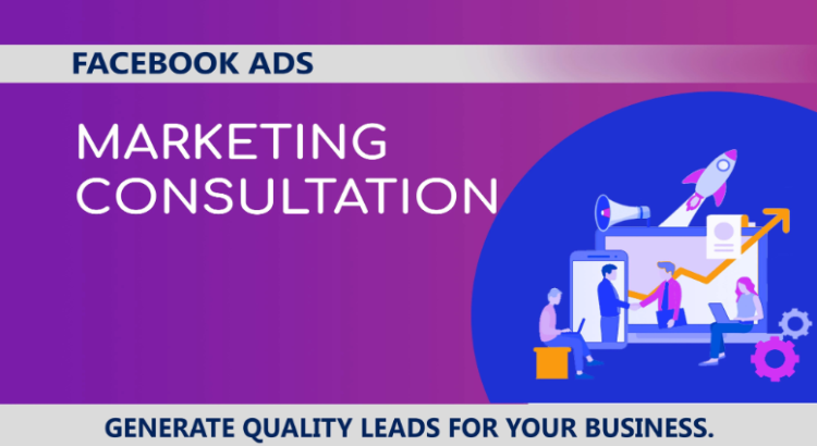 I will consult or manage your facebook and instagram ads