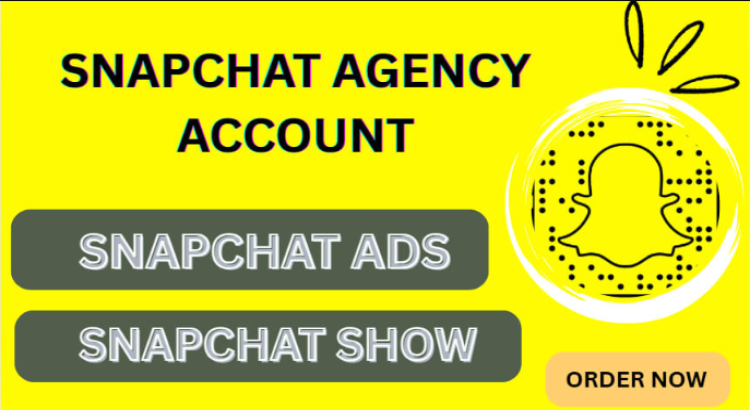 I will setup facebook ads snapchat ads campaign instagram ads fb ads marketing manager