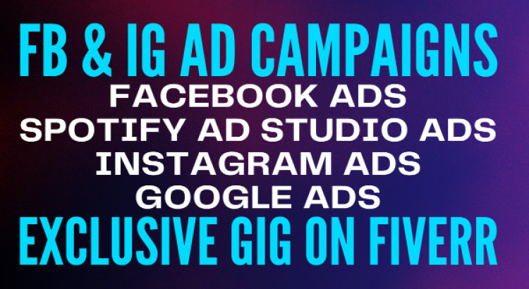 I will create facebook and instagram ads campaign.