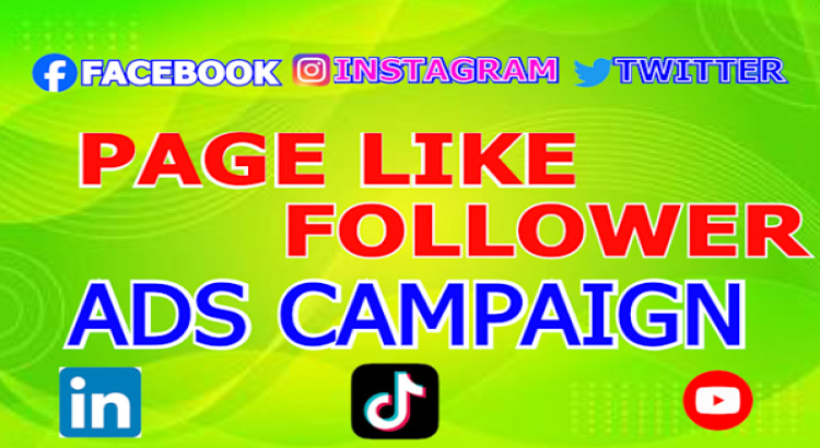 I will run a facebook ads campaign to grow your page followers, page likes
