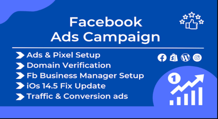 I will be your facebook ads campaign manager and fb ads campaign-6