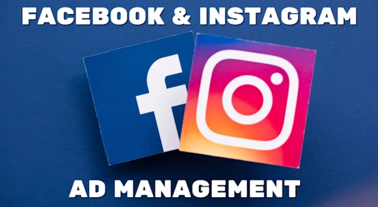 I will set up facebook and instagram ads for leads and sales.
