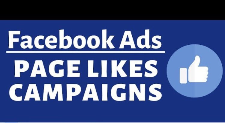 I will handle complete Facebook & Instagram ads management and scaling.