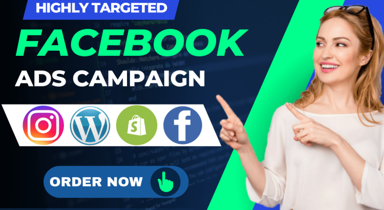 I will set up Facebook and Instagram ads campaigns for leads and sales