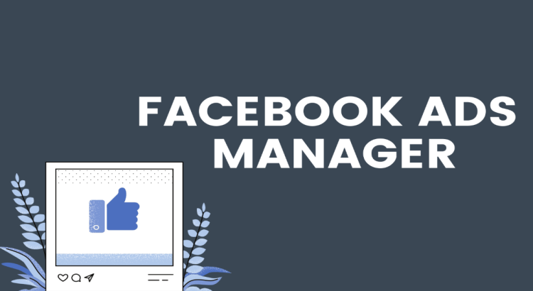 I will create and manage Facebook & Instagram ads campaigns with Meta Ads Manager